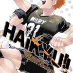 Haikyu!!, Vol. 45: Volume 45